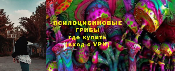 стаф Липки