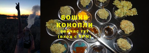 прущий лед Арсеньев